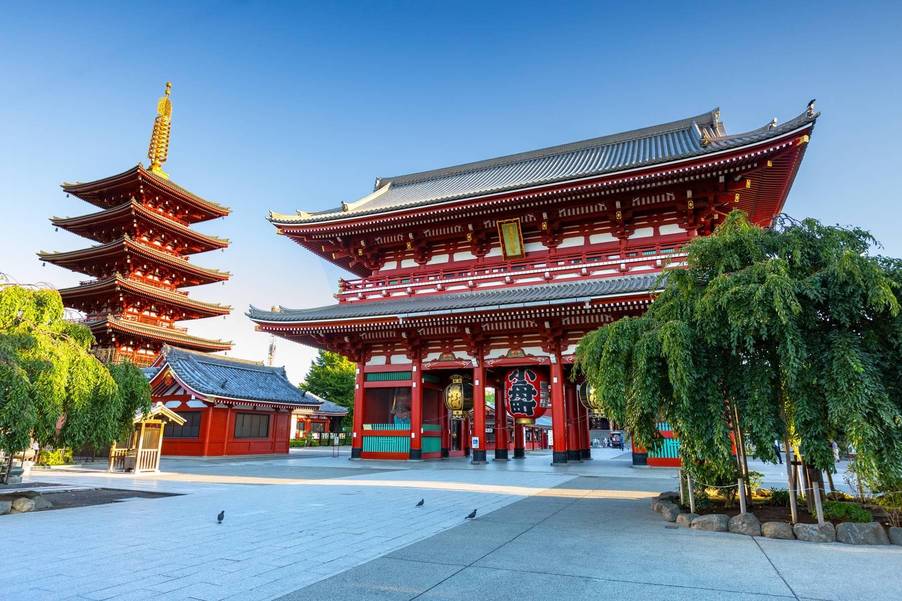Nhật Bản (Tokyo - Shibuya - Odaiba - 02 Ngày Tự Do)