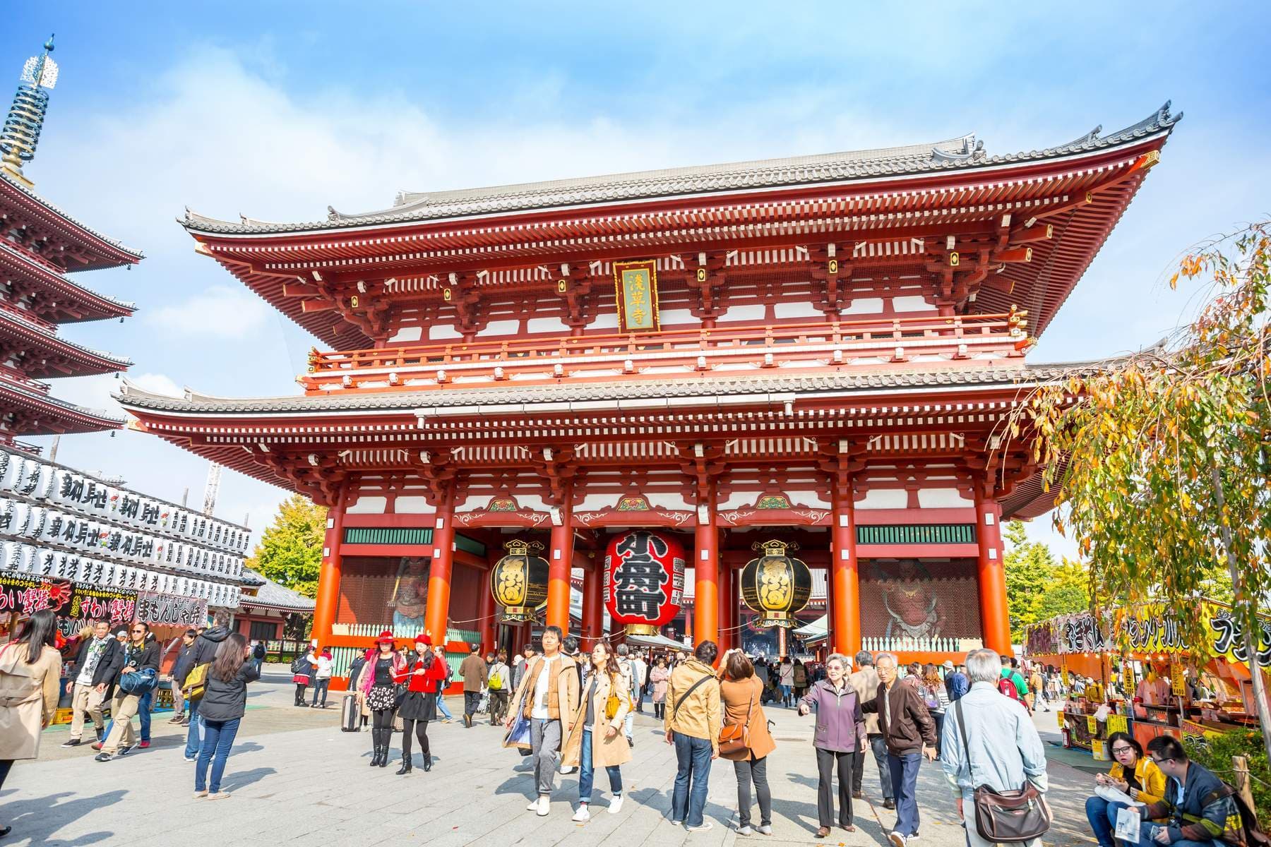 Nhật Bản (Tokyo - Shibuya - Odaiba - 02 Ngày Tự Do)