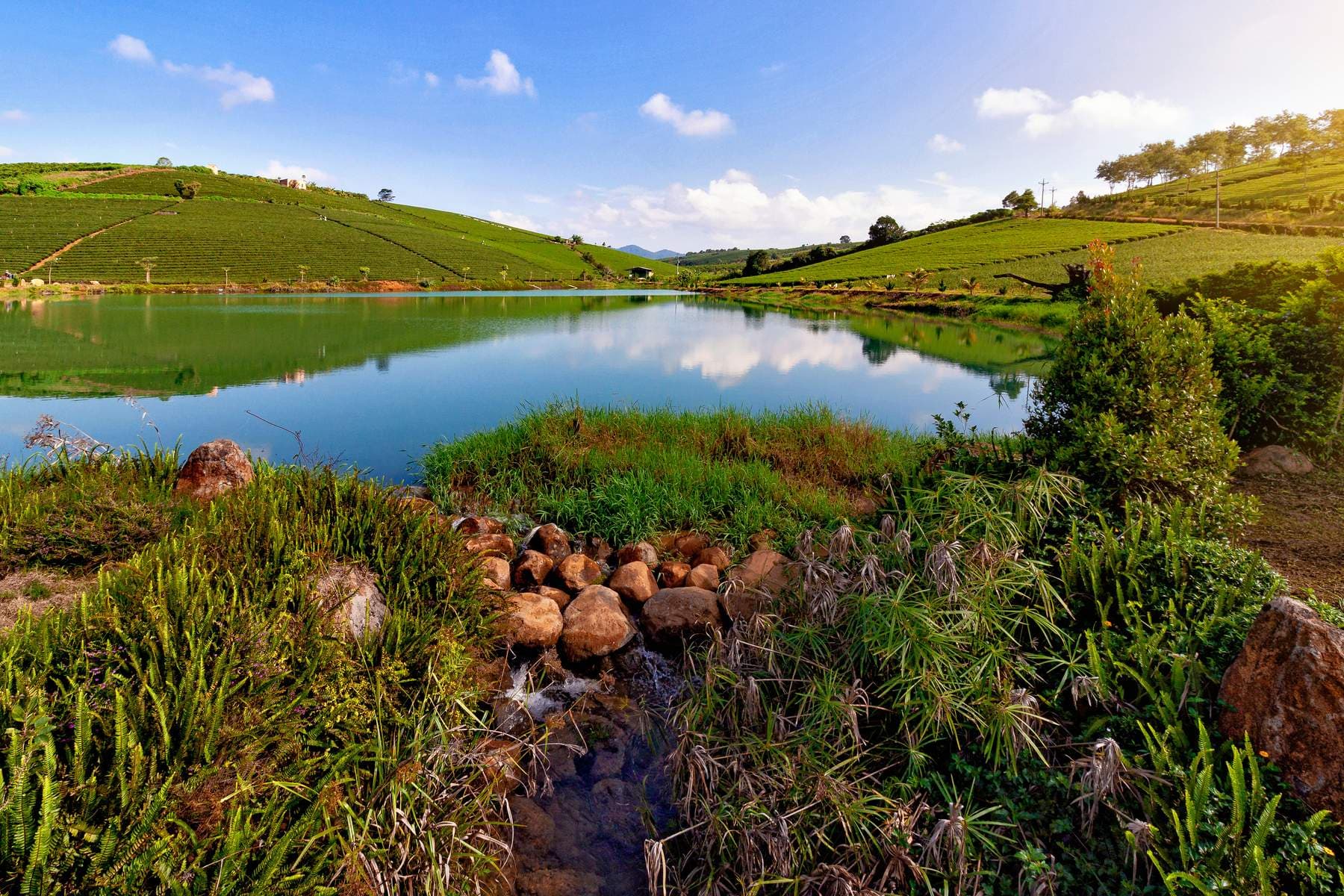 Bảo Lộc Farm – Thác Dambri
