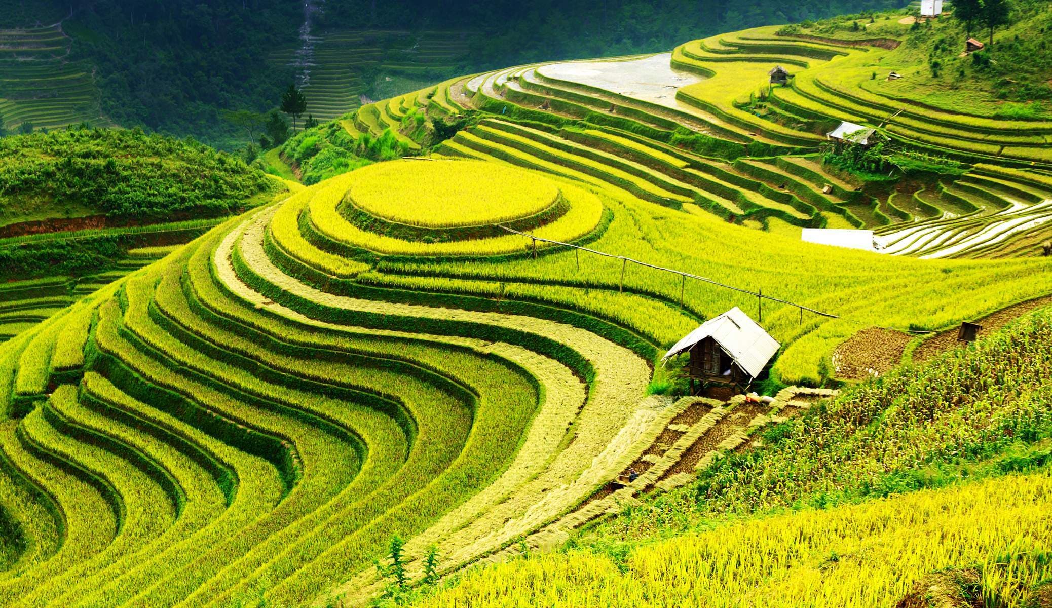 Sa Pa