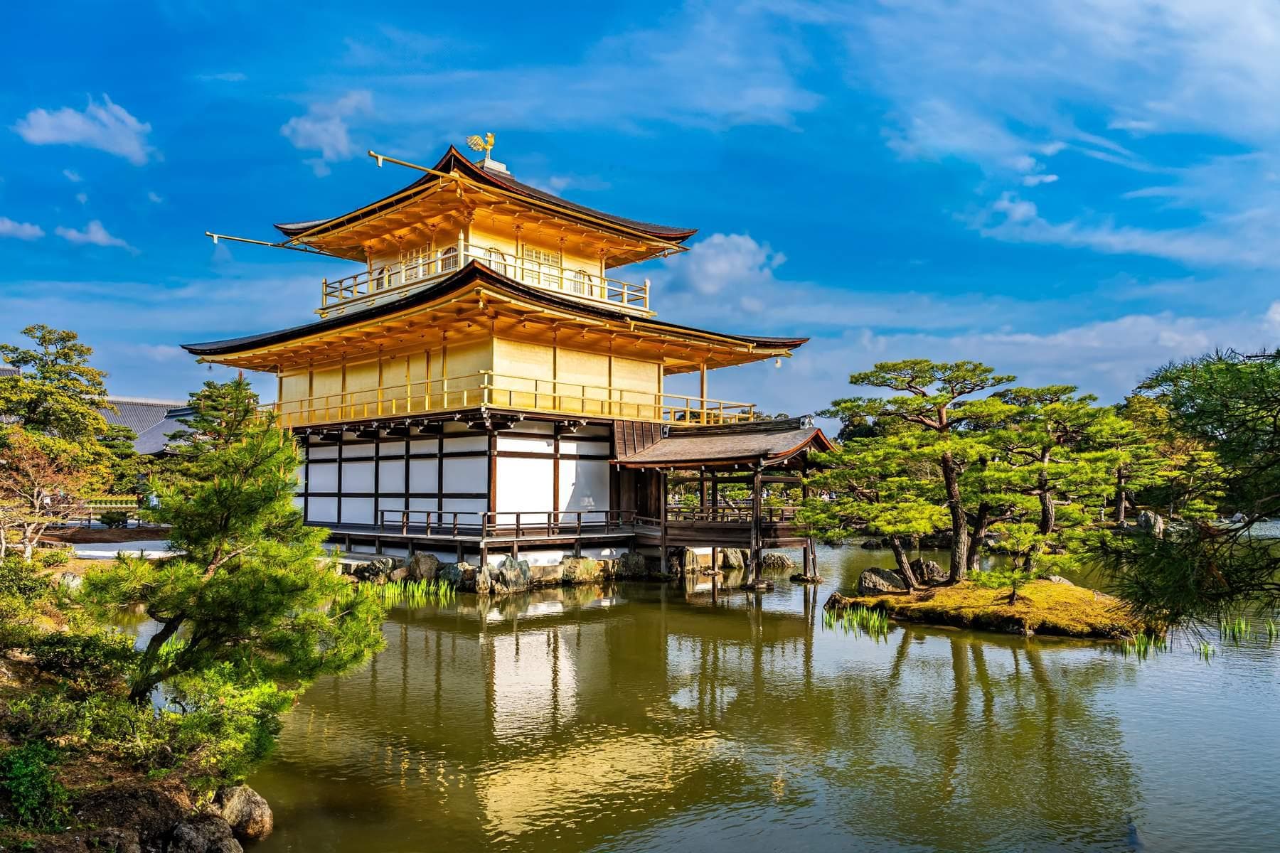 Nhật Bản - Thưởng Ngoạn Hoa Chi Anh (Osaka - Kobe - Kyoto - Núi Phú Sỹ - Tokyo)