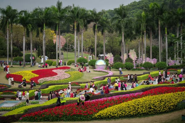 Hong Kong - Trung Quốc (Hong Kong - Thẩm Quyến - Quảng Châu - Chu Hải)