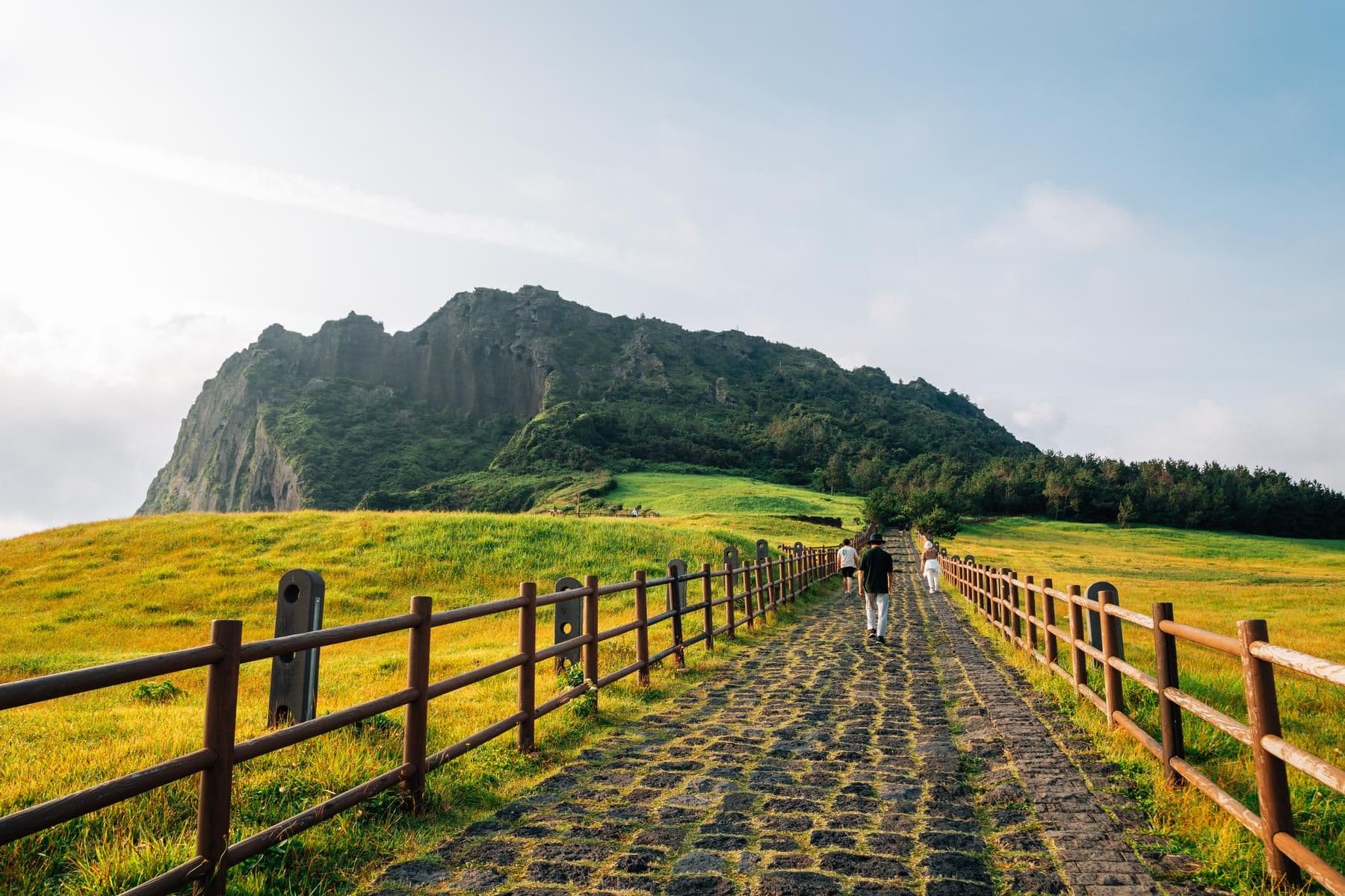 Hàn Quốc - Chiêm Ngưỡng Cánh Đồng Hoa Cải Dầu (Seoul - Jeju - Ecoland - Nanta Show – Công Viên Everland – Thư Viện Starfield - Bảo Tàng Mỹ Thuật Trick Eyes)