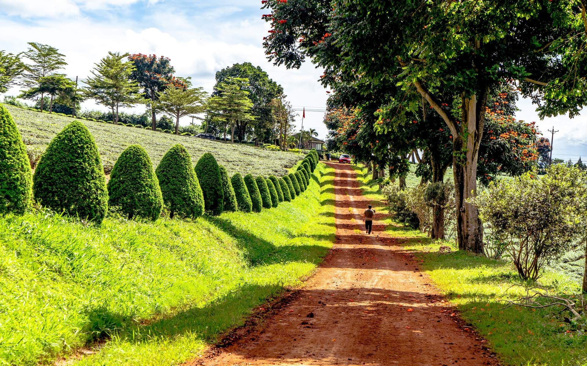 Bảo Lộc Farm – Thác Dambri