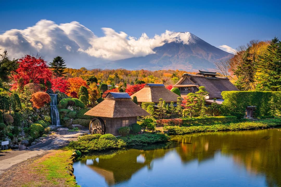 Nhật Bản (Tokyo - Hakone - Núi Phú Sỹ - Bảo Tàng Teamlab)