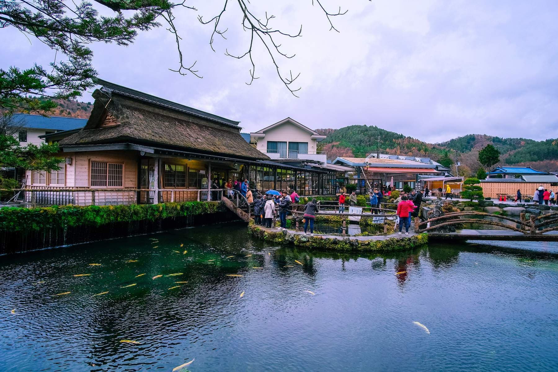 Nhật Bản (Osaka - Kyoto - Núi Phú Sỹ - Vườn Trái Cây - Tokyo - Disneyland)