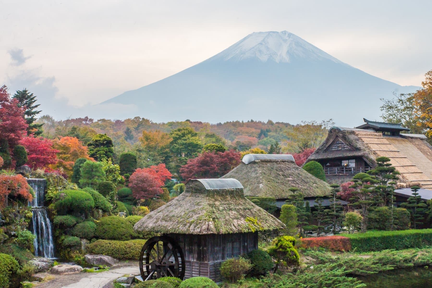 Nhật Bản [Tokyo – Núi Phú Sĩ – Owakudani – Narita] - Giá Tiết Kiệm