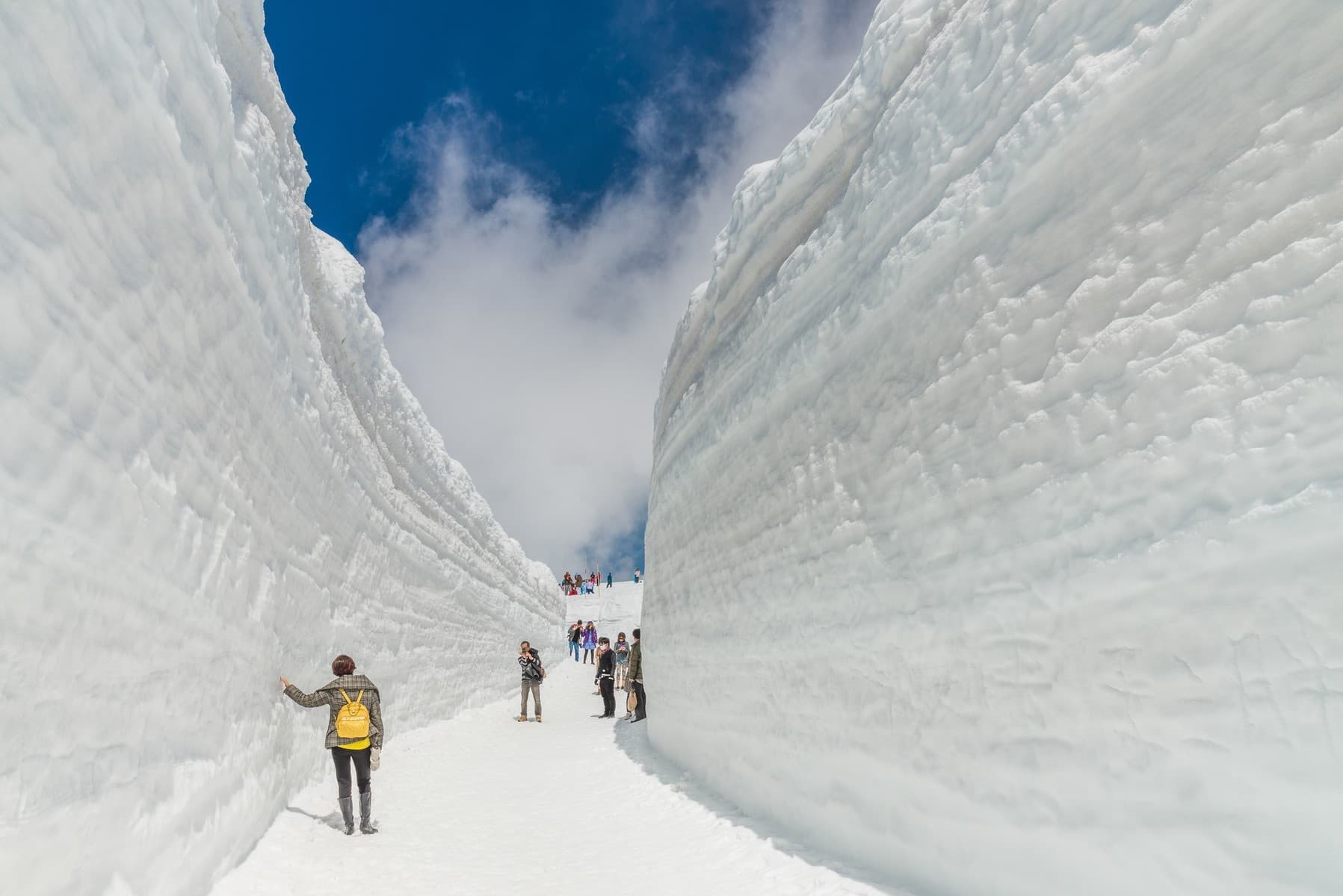 Nhật Bản (Nagoya - Takayama - Kurobe Alpine - Núi Phú Sỹ - Tokyo) - Thường Ngoạn Hoa Chi Anh Shibazakura