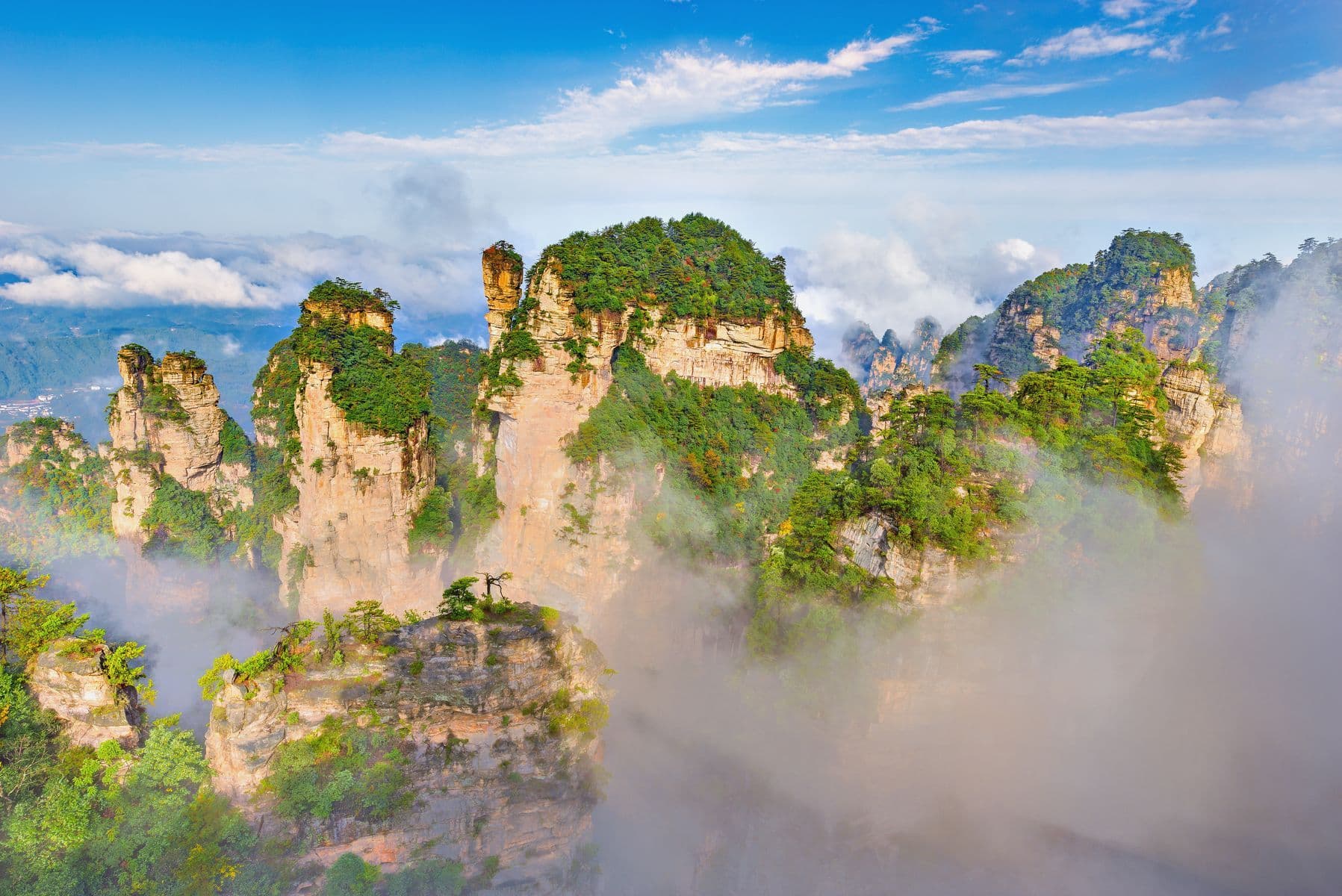 Trung Quốc (Trương Gia Giới - Phượng Hoàng Cổ Trấn - Trùng Khánh)