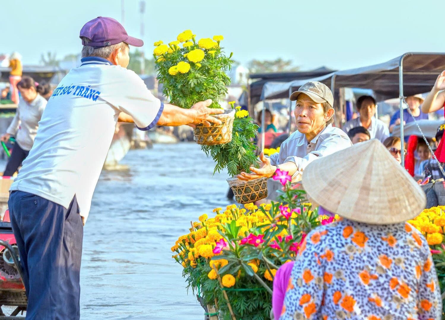 Tour Cần Thơ - Một Ngày Khám Phá Tây Đô