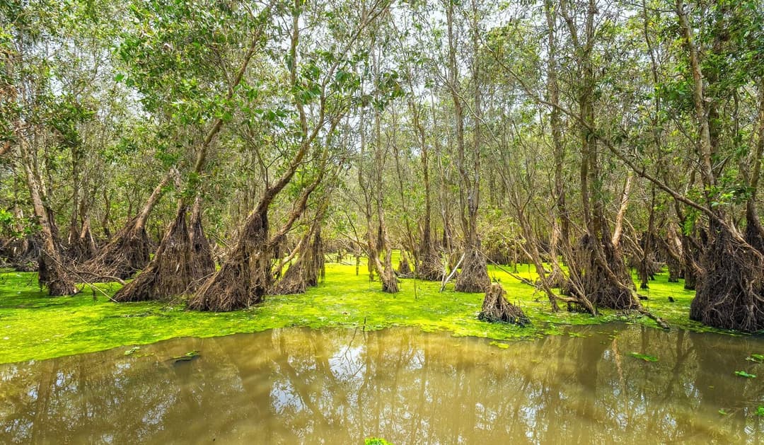 MÙA NƯỚC NỔI (ĐỒNG THÁP – AN GIANG)