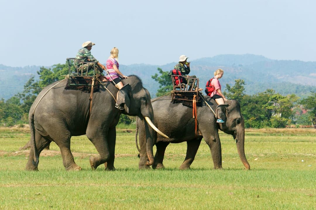 Buôn Ma Thuột - Buôn Đôn - Pleiku - Kontum  - Măng Đen - Dakke Resort