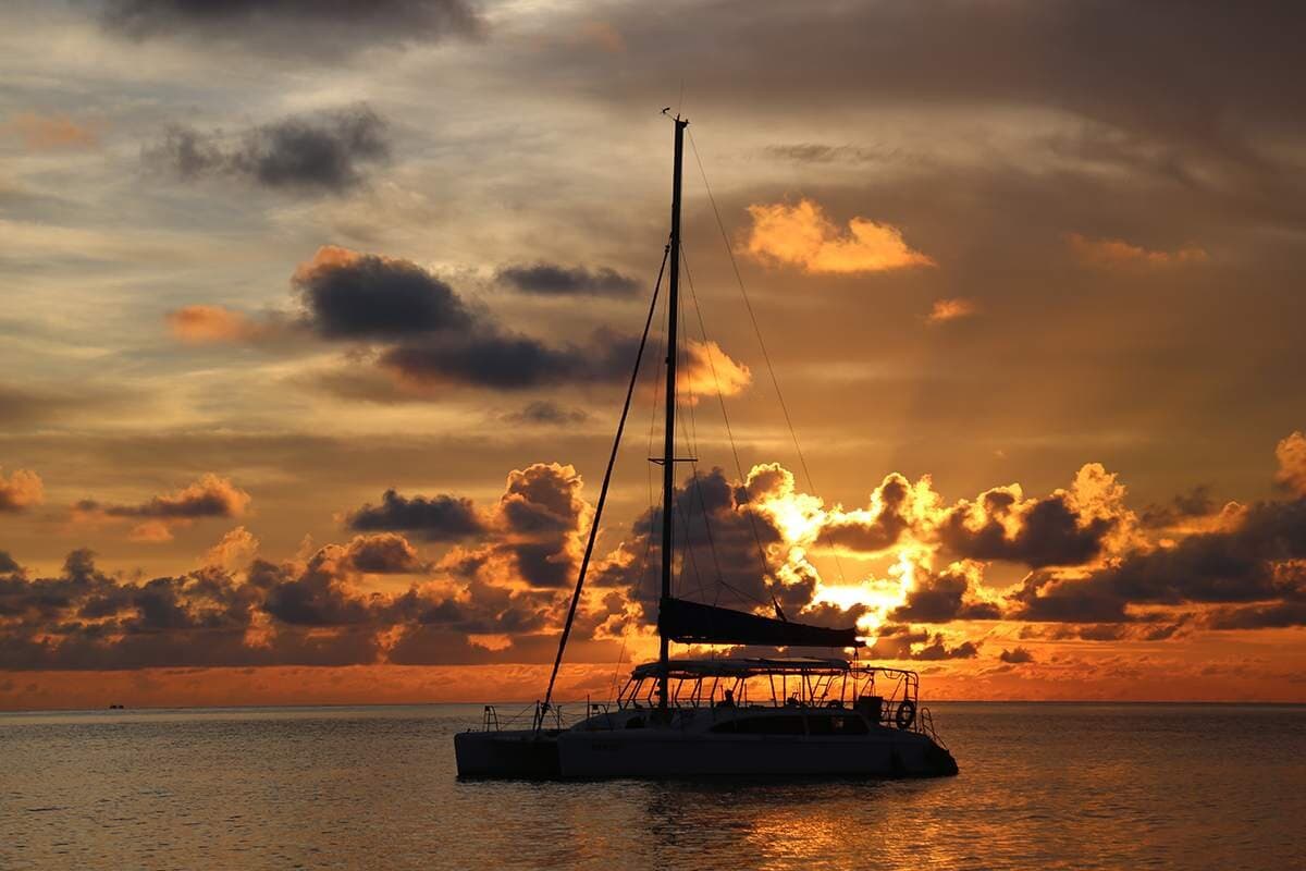 Du Thuyền Catamaran VN Yacht - Buổi Chiều
