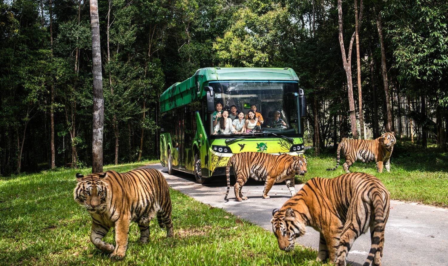 Tour Trải Nghiệm “Nhốt Người Thả Thú” Tại Vinpearl Safari Phú Quốc