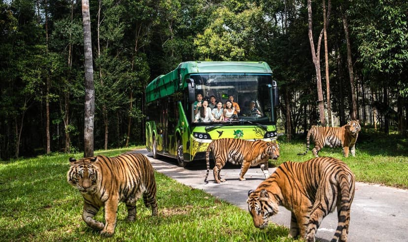 Tour Trải Nghiệm “Nhốt Người Thả Thú” Tại Vinpearl Safari Phú Quốc