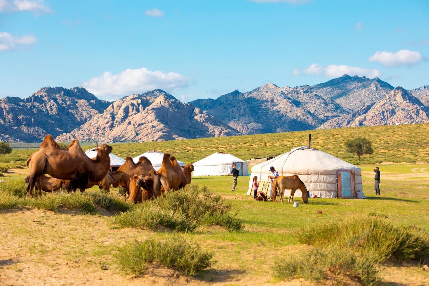 MÔNG CỔ (Thủ Đô Ulaanbaatar – Công Viên Quốc Gia Terelj – Turtle Rock - Trải Nghiệm Cưỡi Ngựa Mông Cổ - Tham Quan Đời Sống Gia Đình Du Mục – Tượng Thành Cát Tư Hãn – Bảo Tàng Quốc Gia Mông Cổ) 