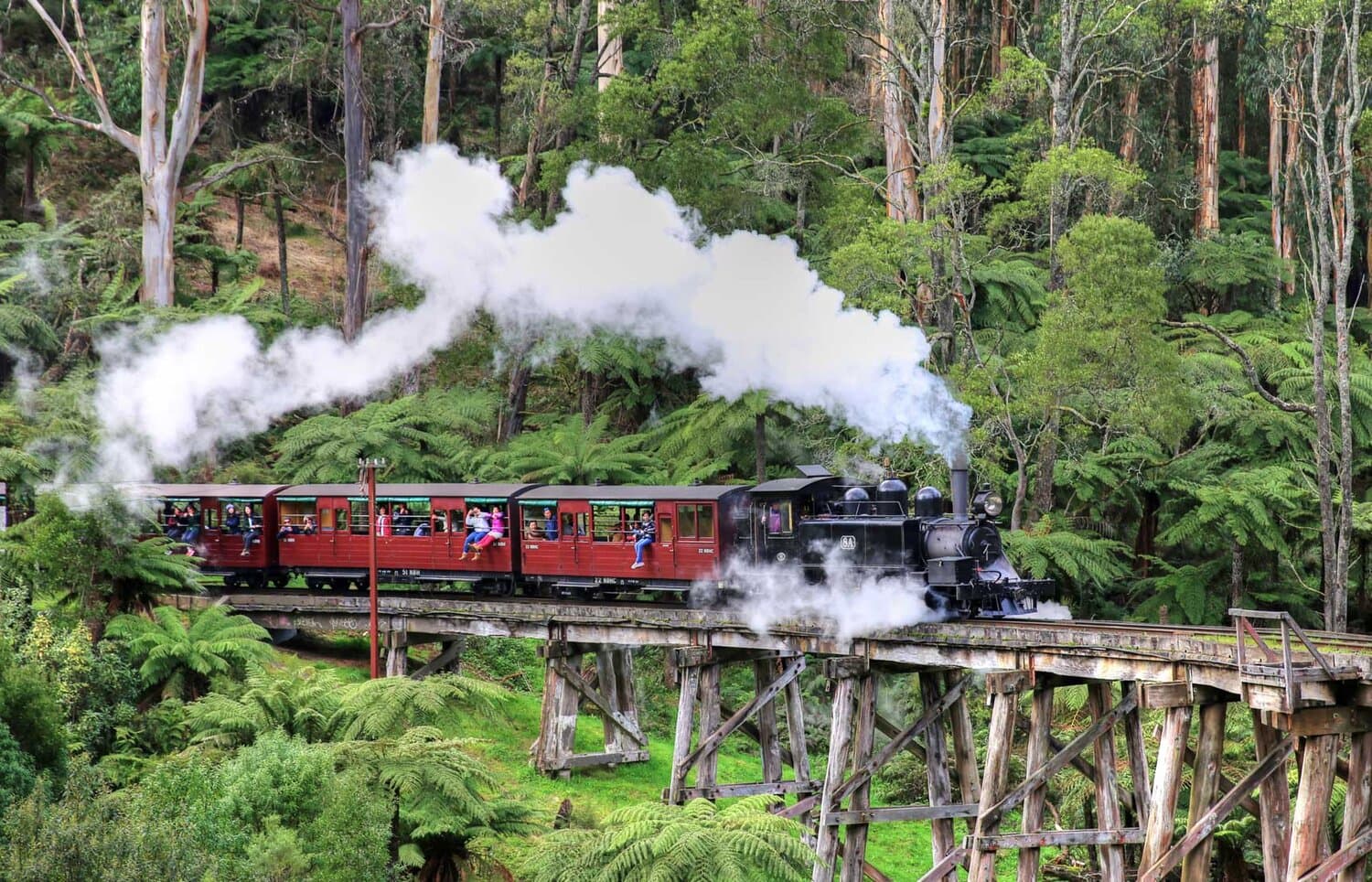 Úc ( Melbourne - Sydney ) - Trải nghiệm Tàu lửa hơi nước Puffing Billy Steam Train
