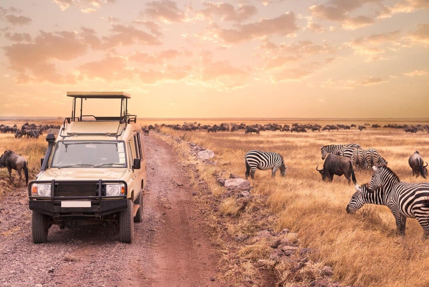 Nam Phi (Cape Town - Pilanesburg - Pretoria - Johannesburg)