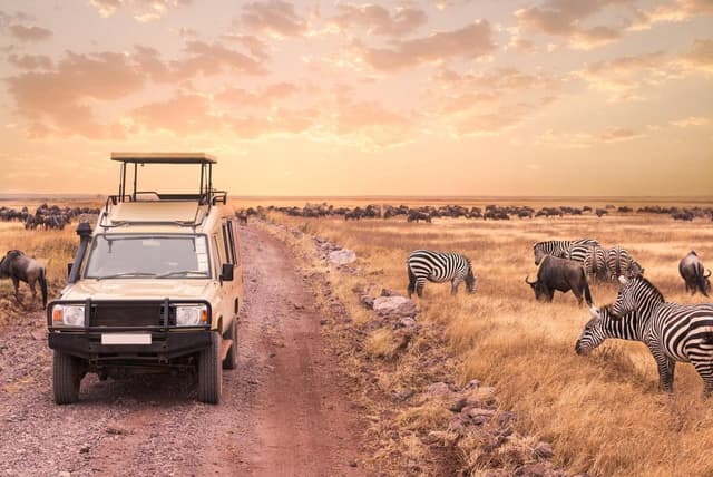 Nam Phi (Johannesburg – Gold Reef - Pretoria - Cape Town)