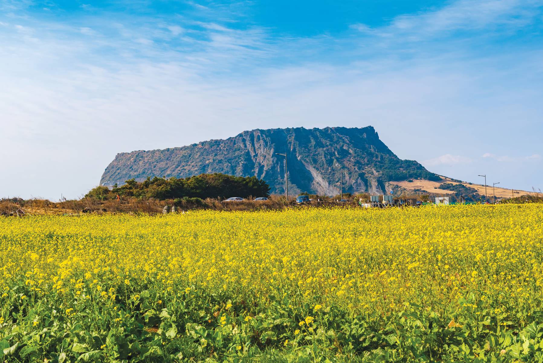 HÀN QUỐC (Seoul - Jeju - Ecoland - Nanta Show –  Công Viên Everland – Thư Viện Starfield - Bảo Tàng Mỹ Thuật Trick Eyes)