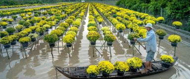 Đặt Ngay Tour Miền Tây 1 Ngày