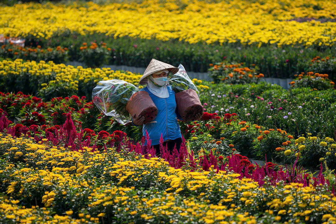 Tour Nhịp Tết Miền Tây