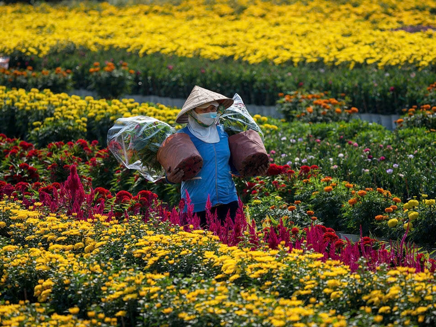 Tour Nhịp Tết Miền Tây