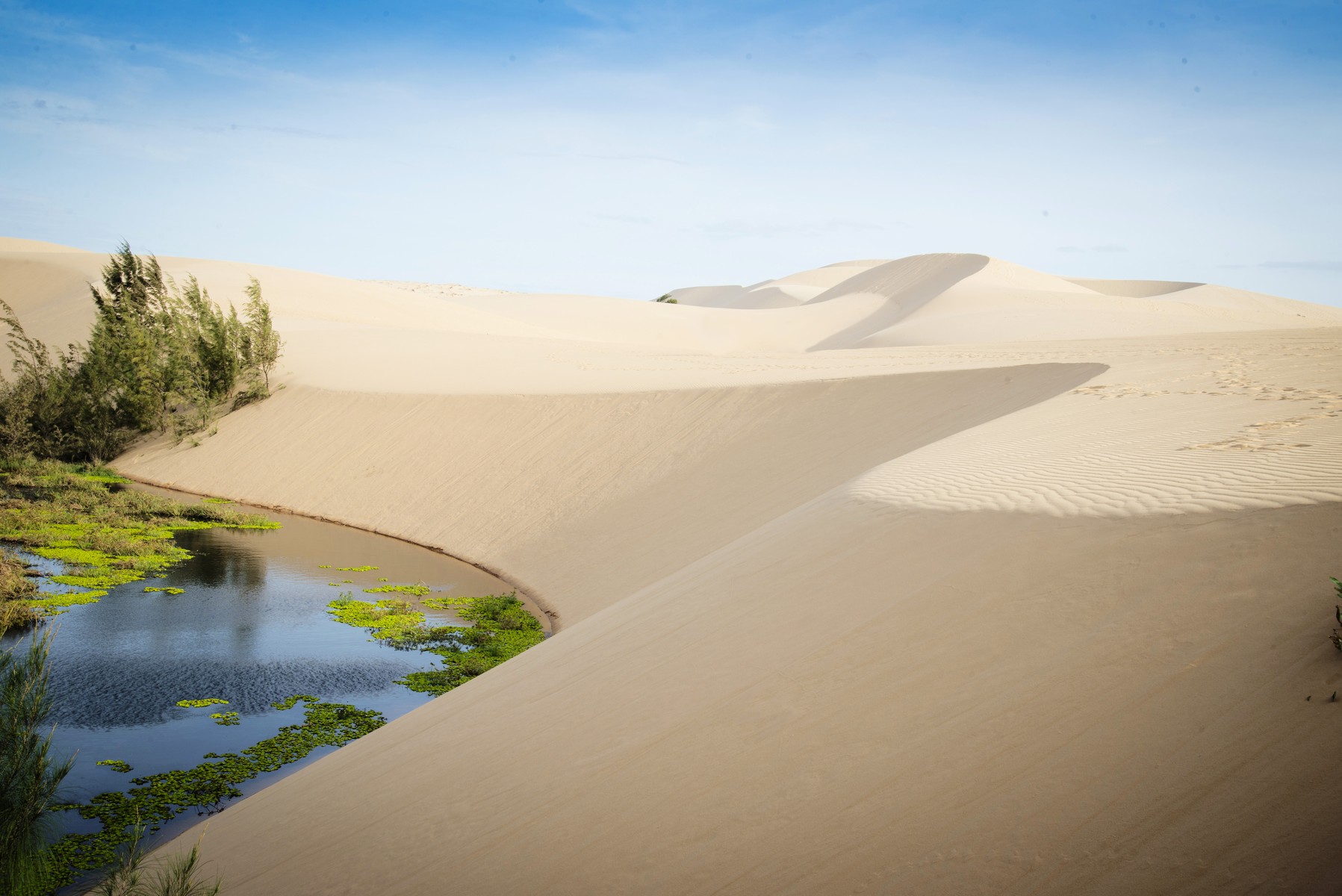 PHAN THIẾT - MŨI NÉ -  TRƯỜNG DỤC THANH  BÀU TRẮNG - TRUNG TÂM BÙN KHOÁNG