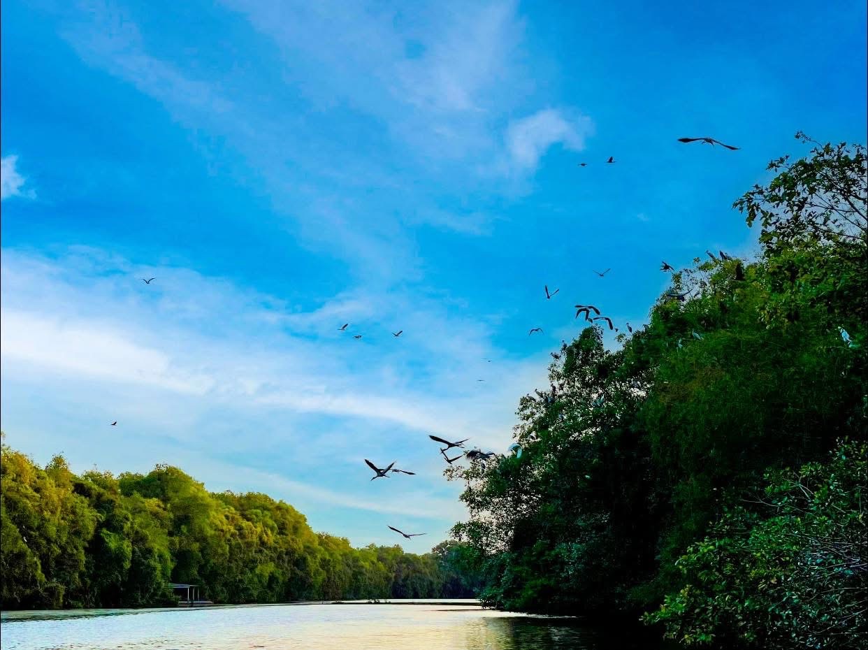 MỸ THO - BẾN TRE - ĐỒNG THÁP MƯỜI - THIỀN VIỆN TRÚC LÂM CHÁNH GIÁC - THÁNH TÍCH “TỨ ĐỘNG TÂM”