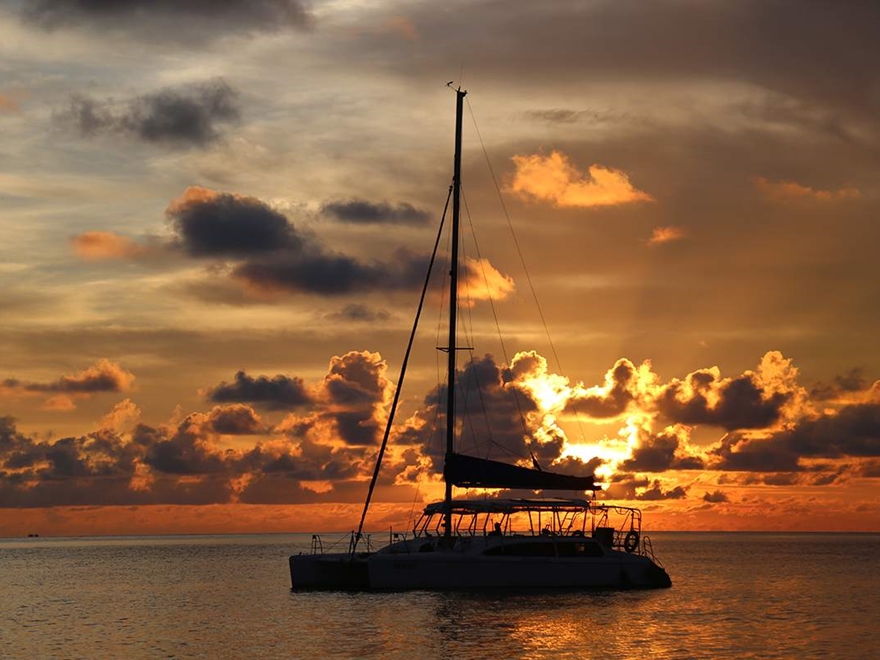 Du Thuyền Catamaran VN Yacht - Buổi Chiều