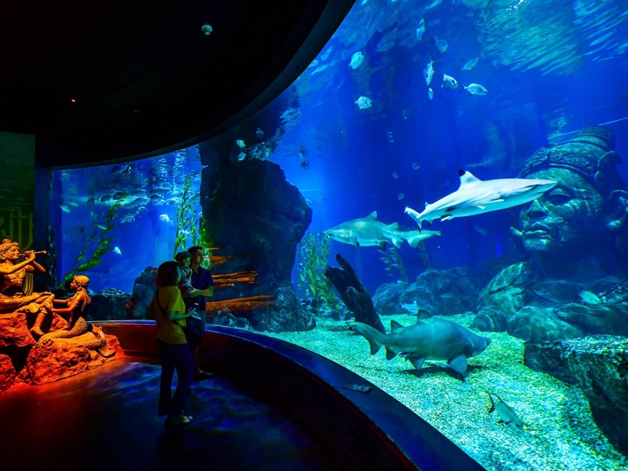 Vé Tham Quan Thuỷ Cung Sealife Bangkok Ocean World Thái Lan  
