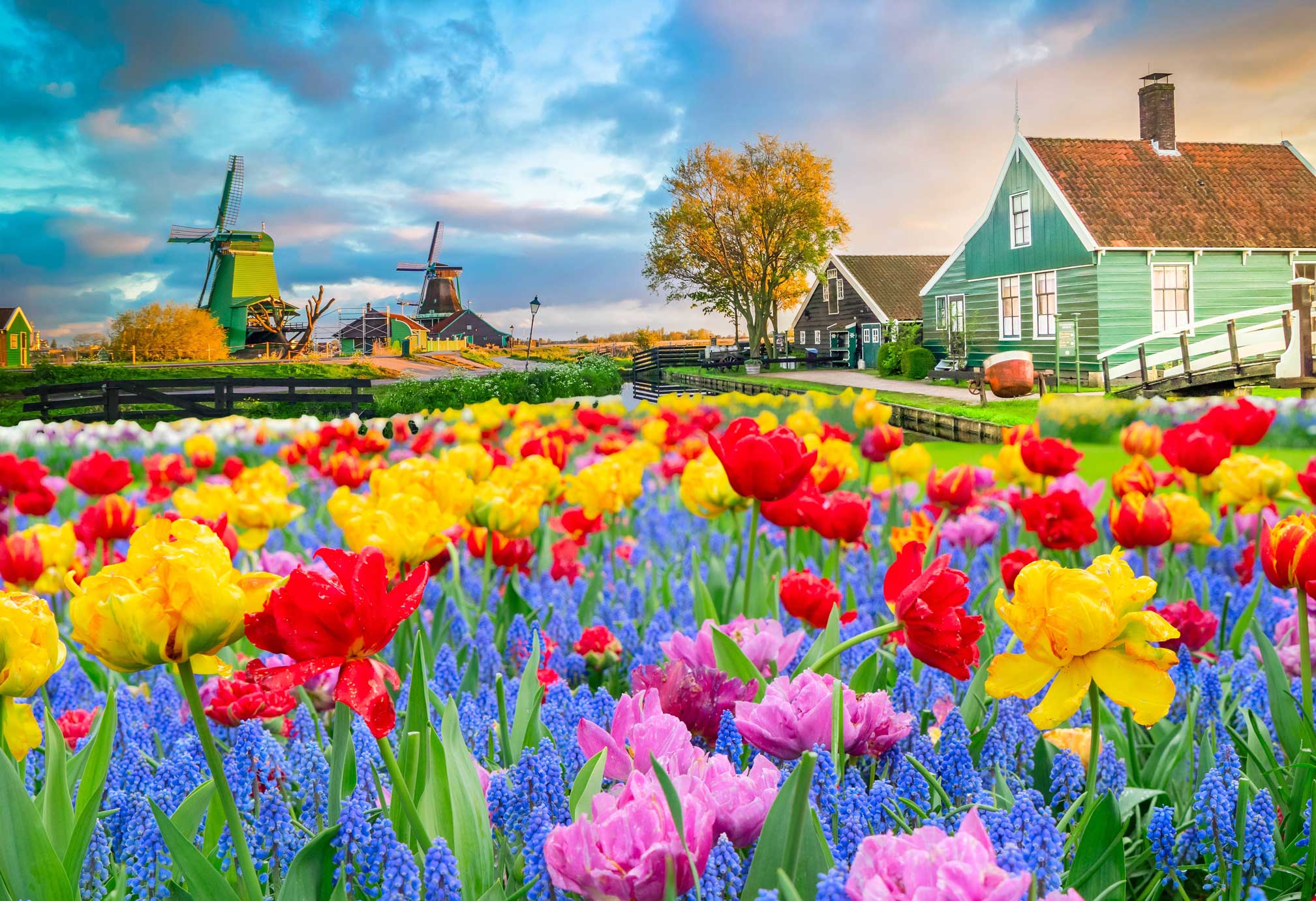 CHÂU ÂU (ĐỨC - HÀ LAN - BỈ - PHÁP) LỄ HỘI HOA TULIP KEUKENHOF 2026