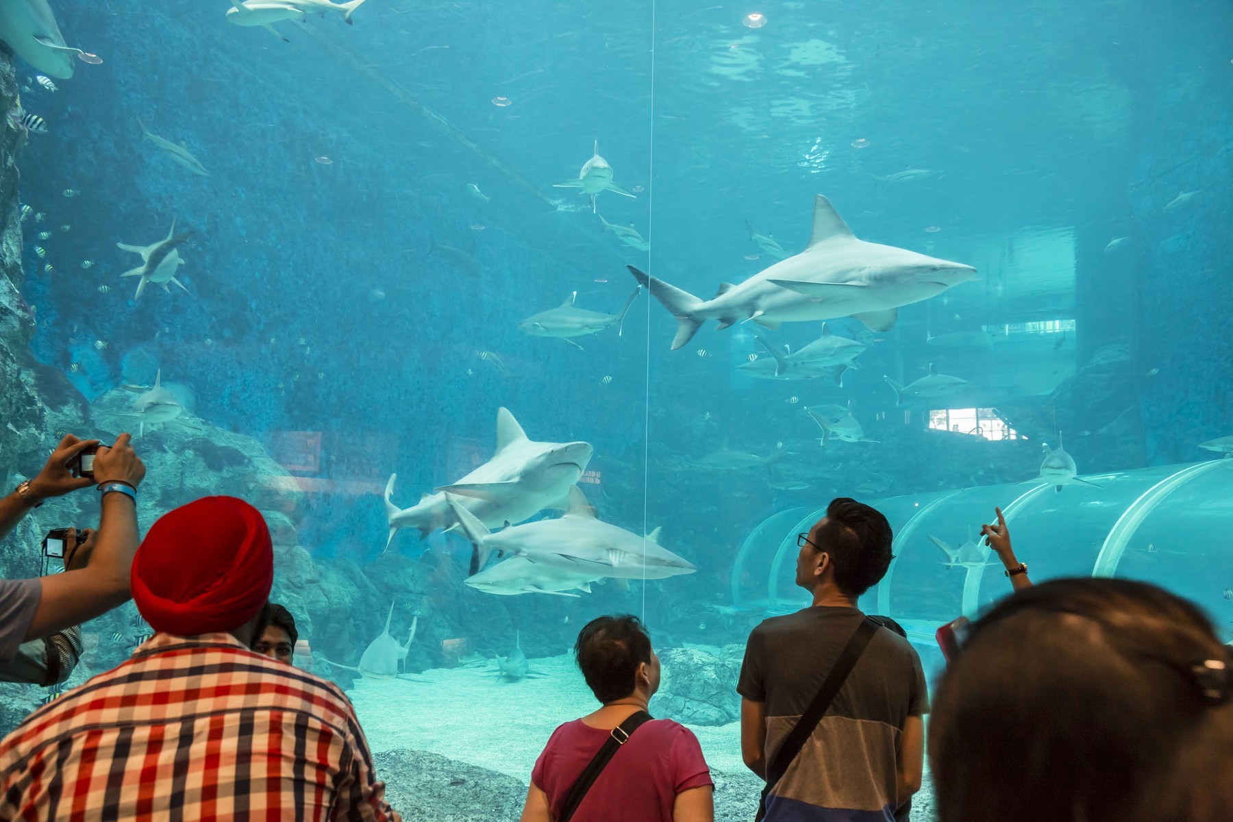 Vé Thuỷ Cung Singapore Oceanarium
