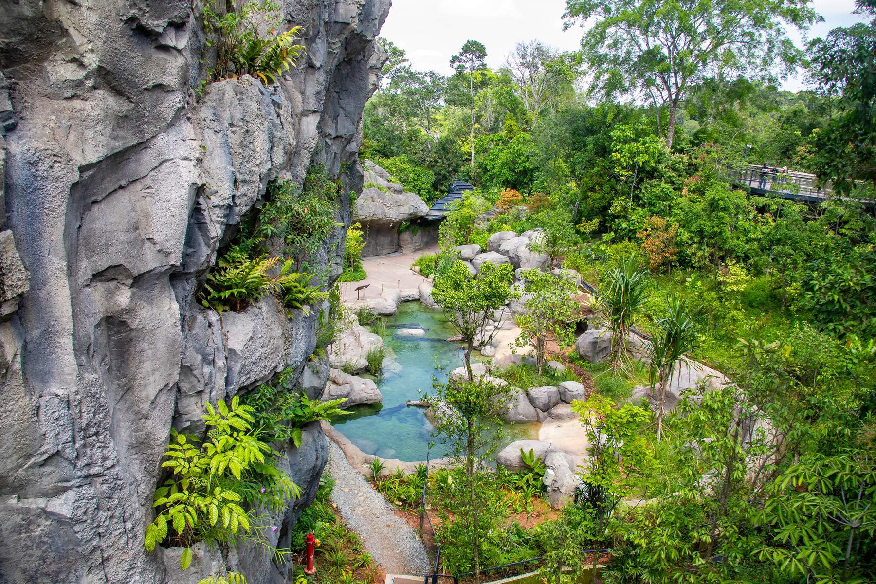 Vé Tham Quan Rainforest Wild Asia Singapore