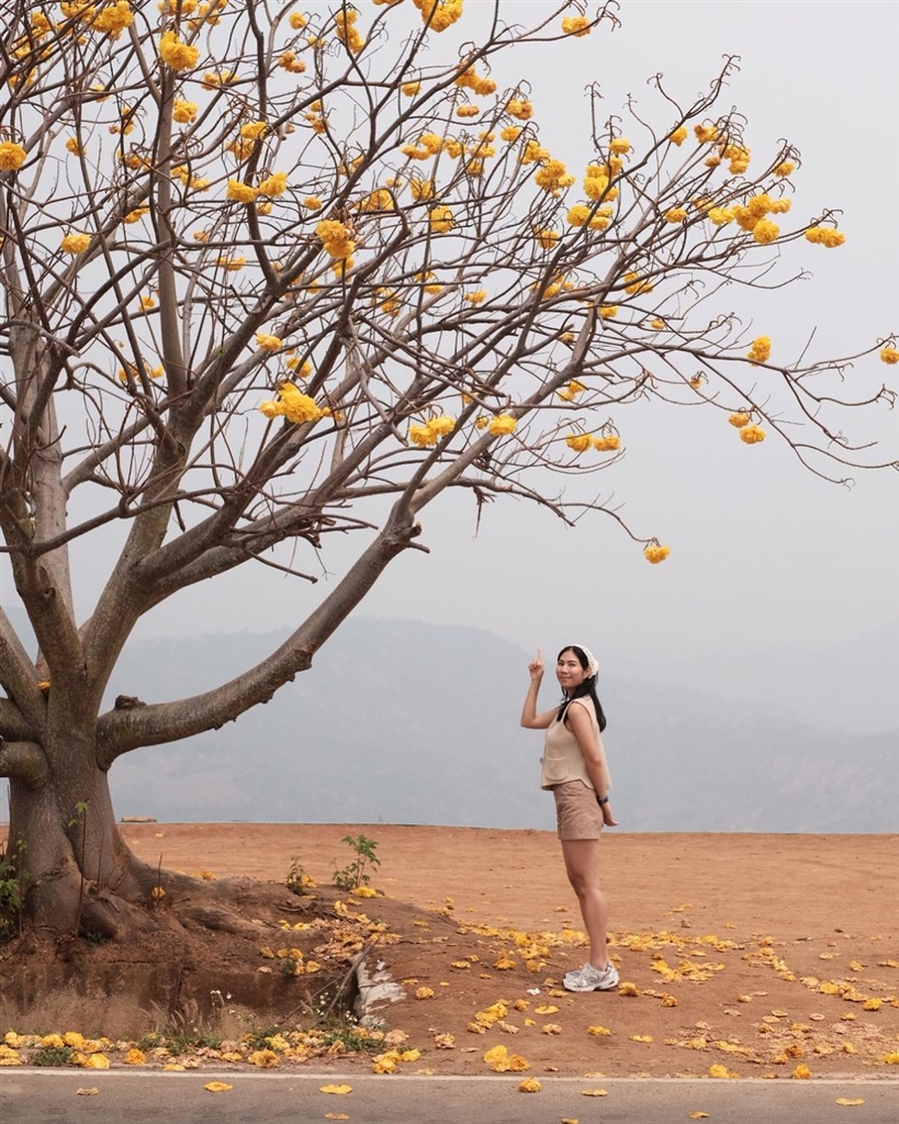 Ảnh: @pattiiezzz1101