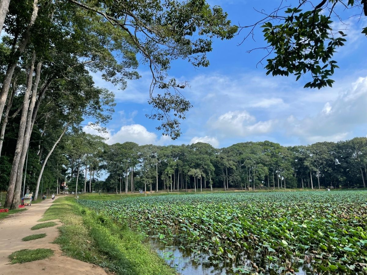 Cồn Chim - Trà Vinh – Vĩnh Long – Mang Thít – Coco Home