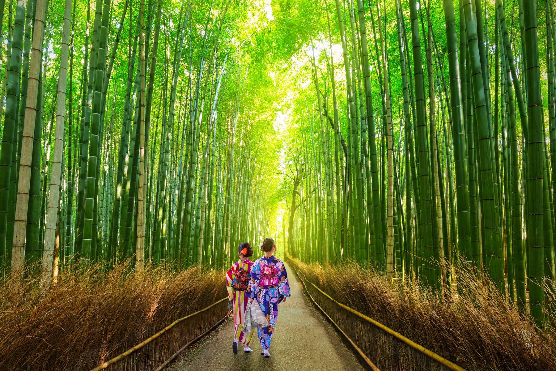 Nhật Bản [Kobe - Osaka –Kyoto - Fuji – Tokyo- Vịnh Odaiba]