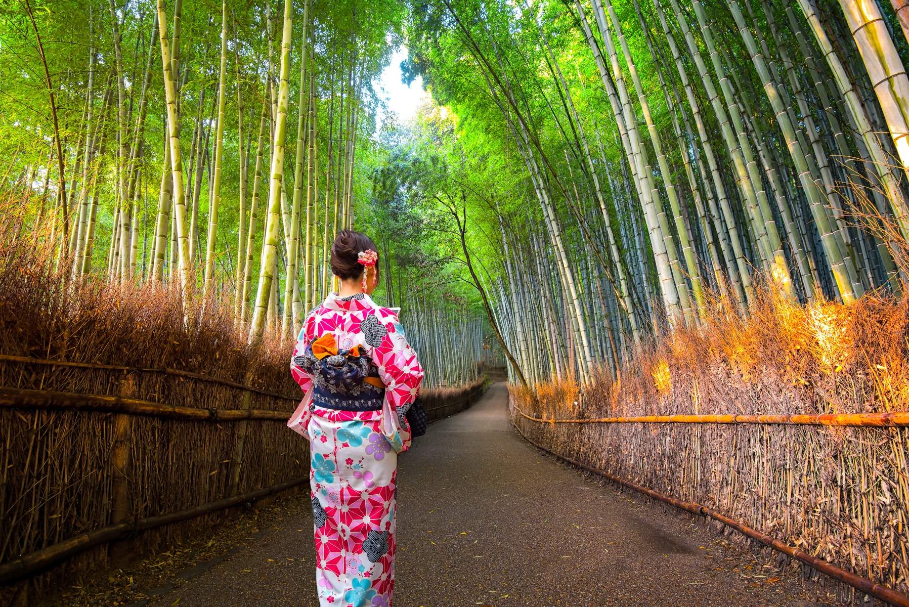 Nhật Bản (Osaka – Kyoto - Nagoya - Fuji - Tokyo Legoland - Disneyland)