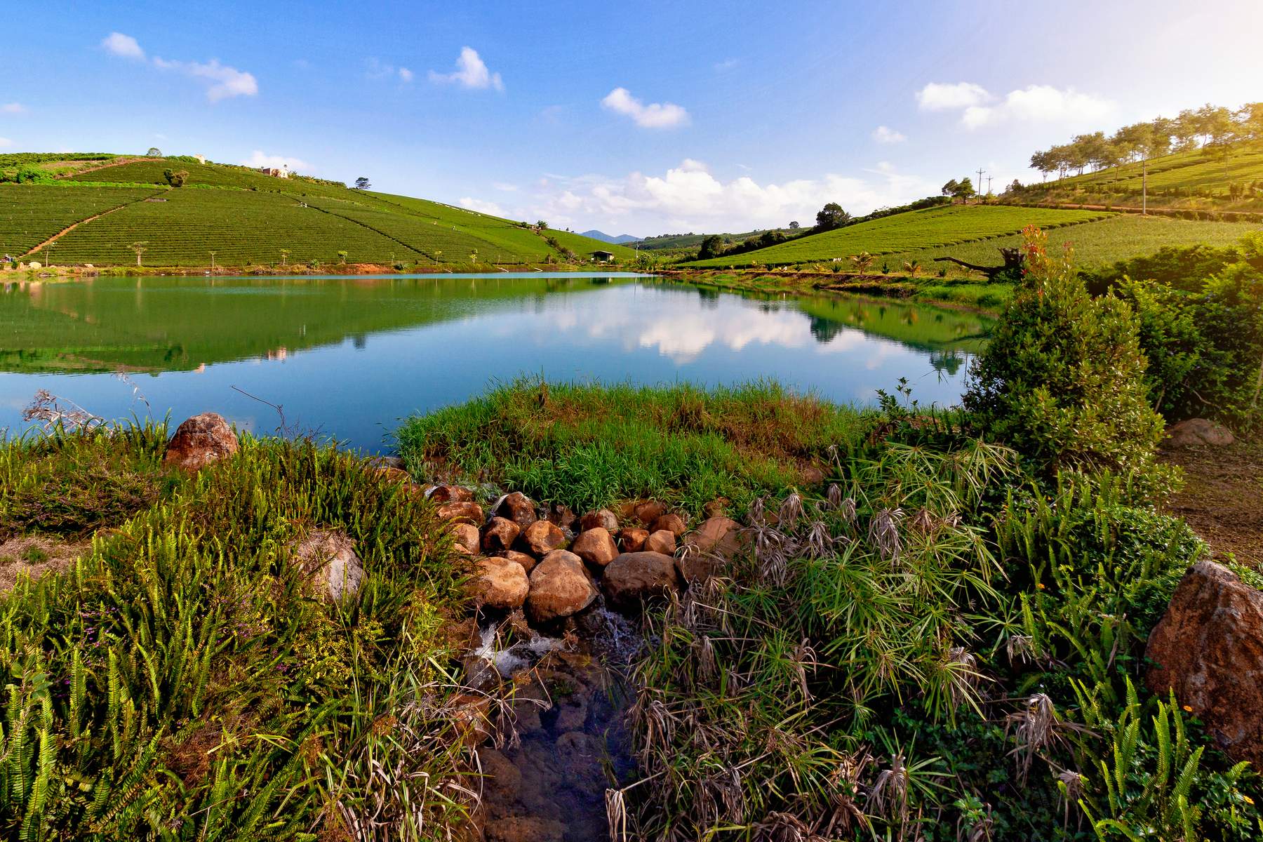 Bảo Lộc Farm – Thác Dambri