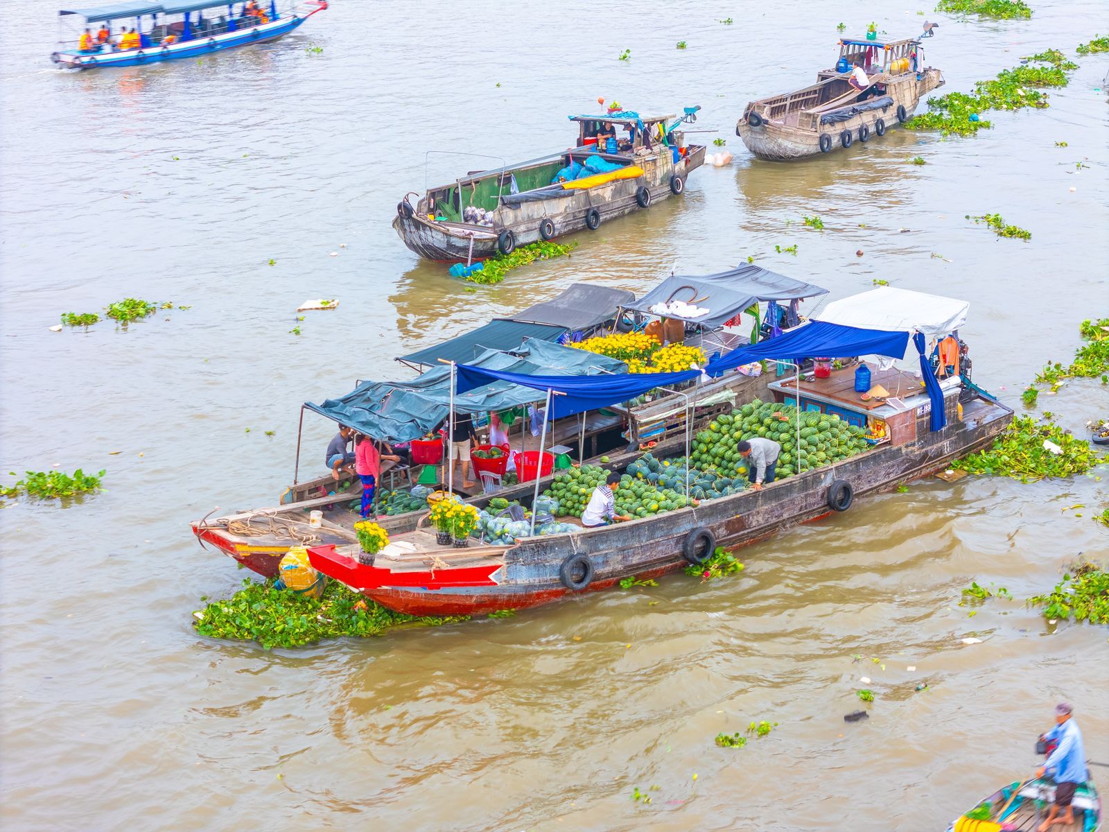 Cần Thơ - Cồn Sơn - Chợ Nổi Cái Răng - Rừng Tràm Trà Sư - Châu Đốc - Sa Đéc - Kiến An Cung