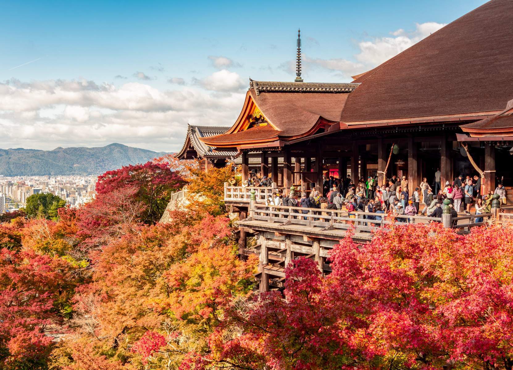 Nhật Bản - Thưởng Ngoạn Hoa Chi Anh (Osaka - Kobe - Kyoto - Núi Phú Sỹ - Tokyo)