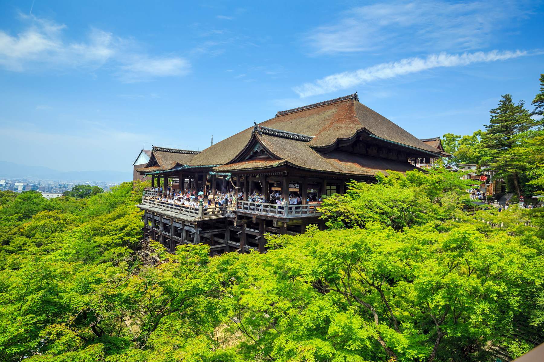 Nhật Bản [Tokyo – Núi Phú Sĩ – Nagoya – Kyoto – Osaka] (Tour Hái Trái Cây)