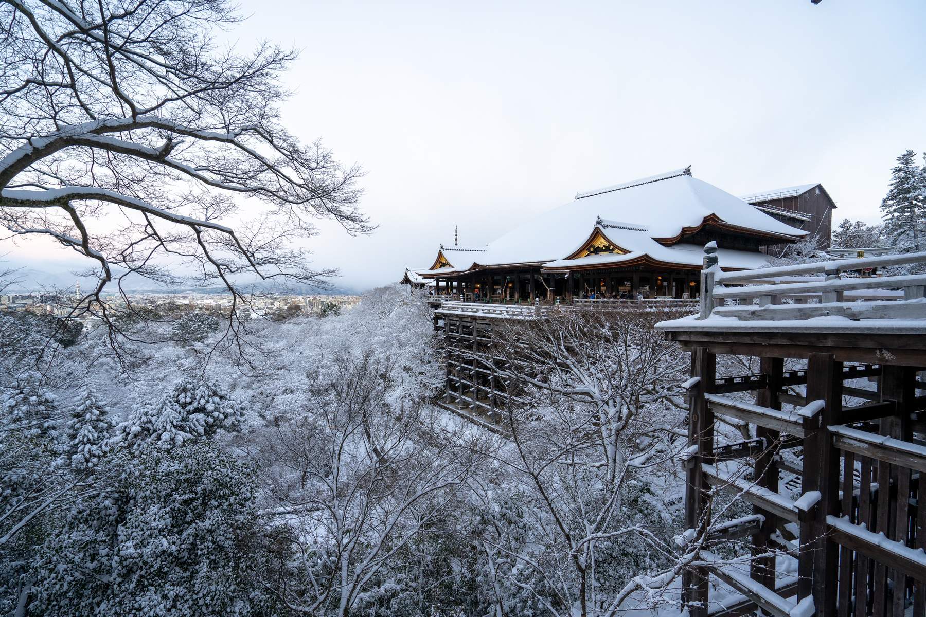 Nhật Bản (Tokyo - Núi Phú Sĩ - Nagoya - Kyoto - Osaka - Lễ Hội Ánh Sáng - Trải Nghiệm Trượt Tuyết)