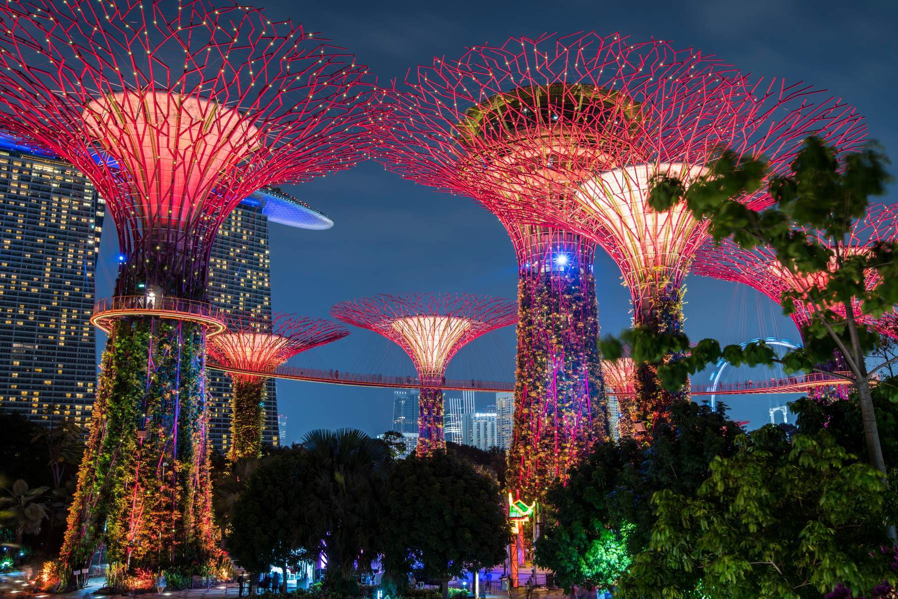 Singapore (Gardens By The Bay - Wings Of Time - Flower Dome - Cloud Forest - 01 Ngày Tự Do Khám Phá)