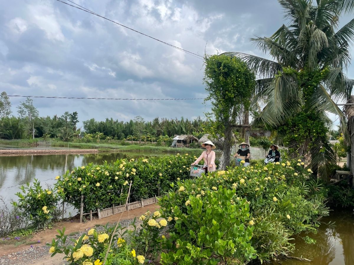Cồn Chim - Trà Vinh – Vĩnh Long – Mang Thít – Coco Home