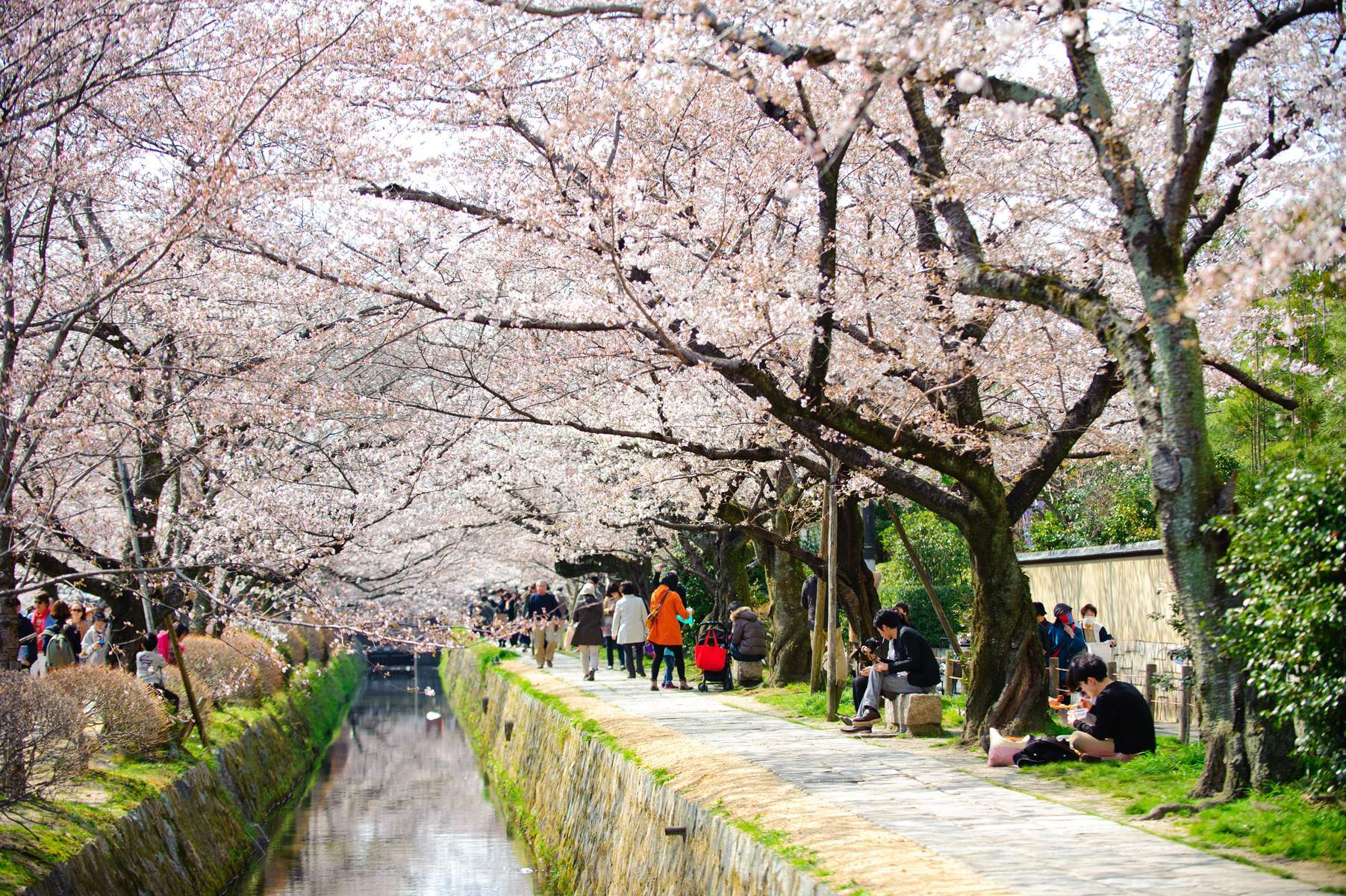 Nhật Bản (Tokyo - Núi Phú Sĩ - Vườn Trái Cây - Kyoto - Osaka)