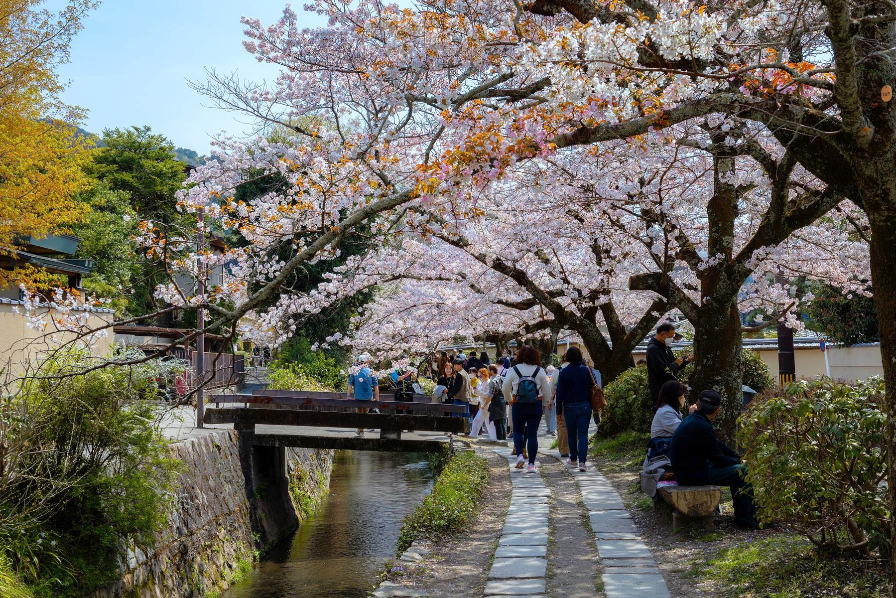 Nhật Bản (Tokyo - Núi Phú Sĩ - Vườn Trái Cây - Kyoto - Osaka)