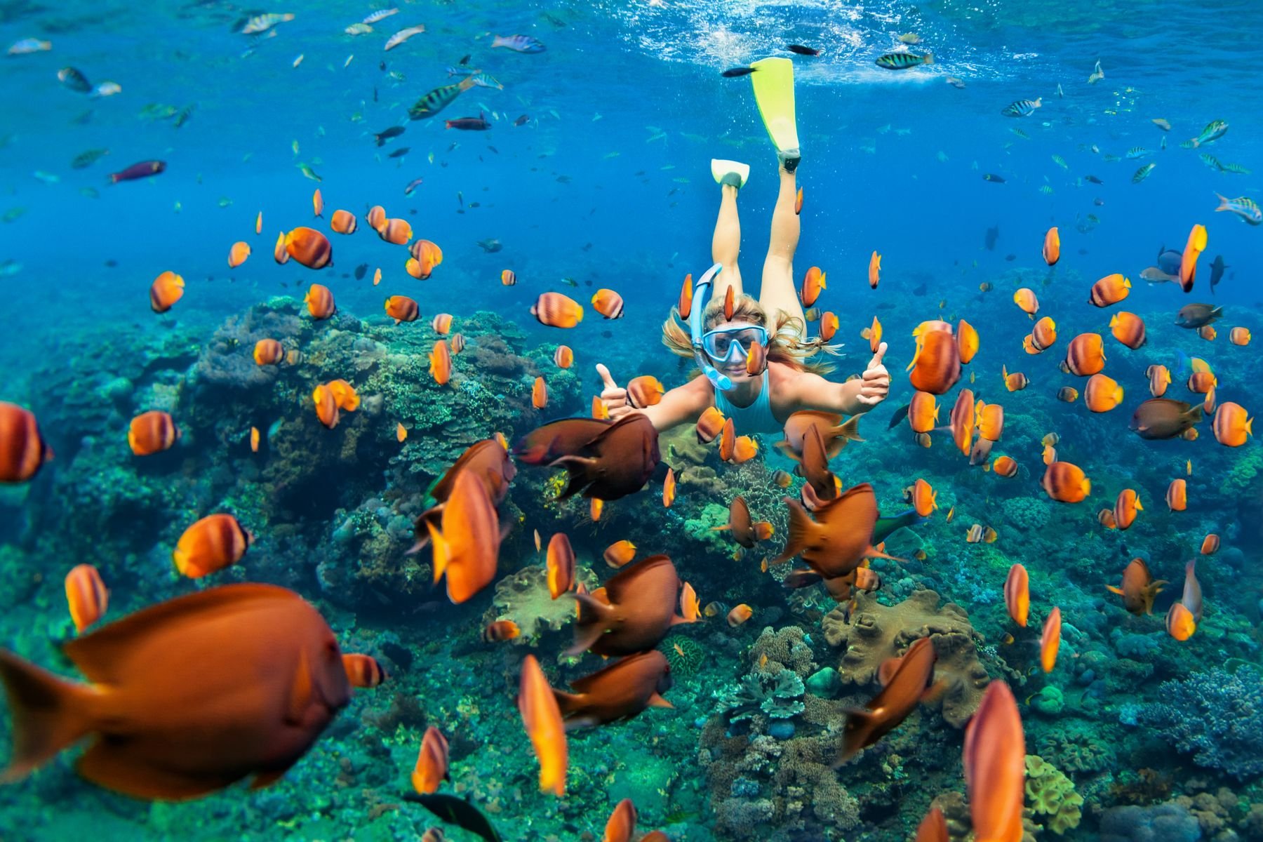 Thái Lan (Bangkok - Pattaya - Đảo San Hô Coral - Vườn Nong Nooch - Safari - Buffet Du Thuyền Trên Sông Chaopraya)