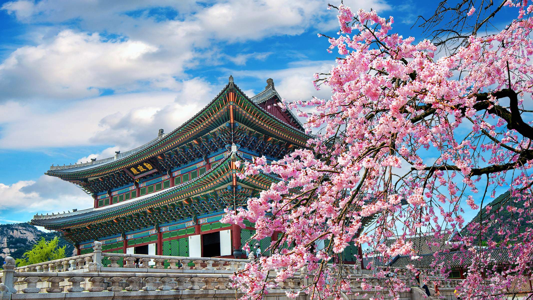 Hàn Quốc (Busan - Seoul - Trải Nghiệm Tàu Tốc Hành KTX - Làng Bích Họa Gamcheon - Tàu Sky Capsule - Chùa Haedong Yonggungsa - Tháp Namsan - Vườn Morning Calm - Thưởng Ngọan Hoa Anh Đào - Painters Hero Show)