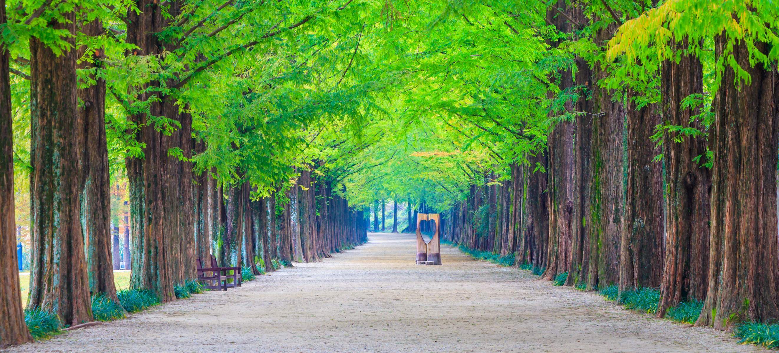 Hàn Quốc (Seoul - Đảo Nami - Lotte World Seoul Forest - Thư Viện Suwon Starfield)